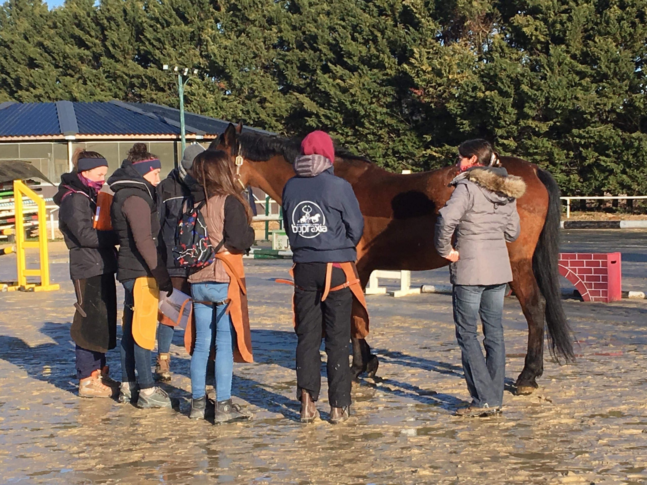 pratique_equine Collège Saint Cyr de Matour